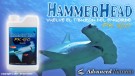 HammerHead 1L thumbnail