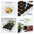 ROOT RIOT 100 CUBE REFILL thumbnail