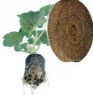 42mm x 42mm Jiffy Pellets thumbnail